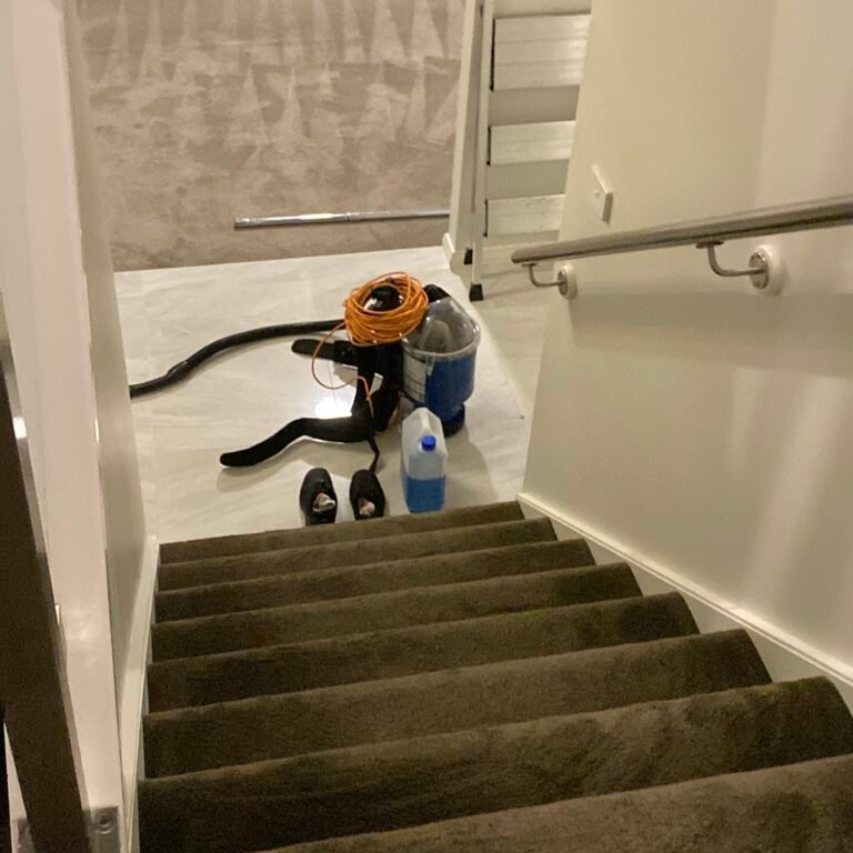 emergency carpet restoration