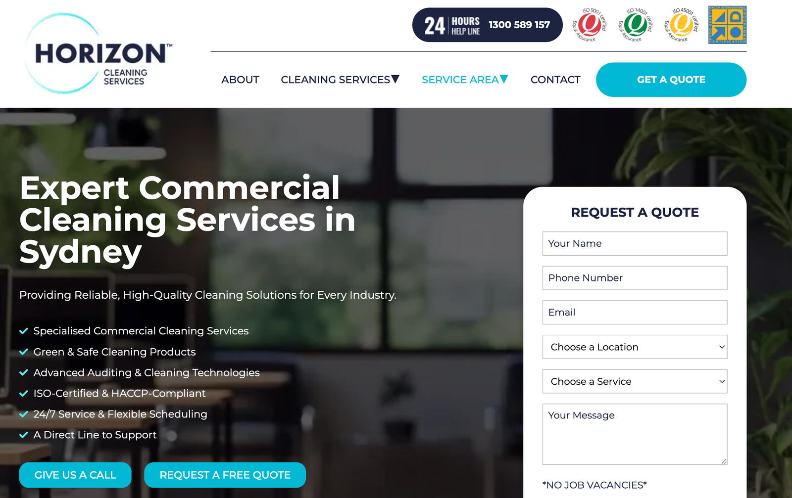 horizon cleaning service